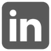 LinkedIn logo icon